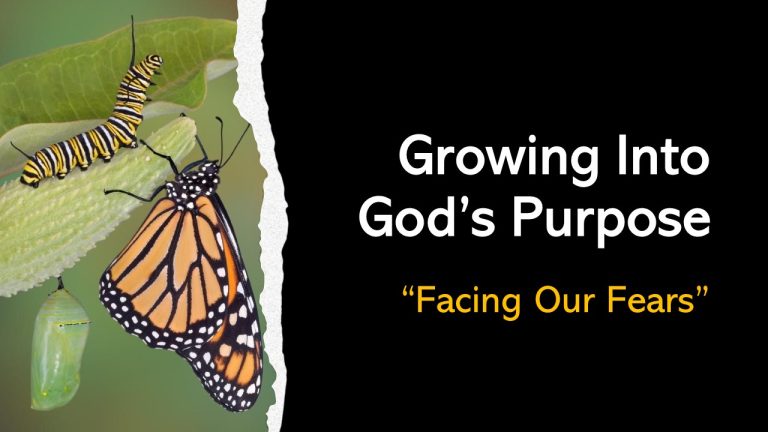 Growing Into God’s Purpose Image