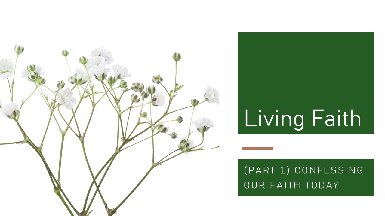 Living Faith Series – Title 1