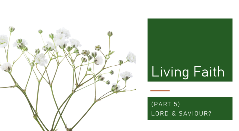 Living Faith Series – Title 5