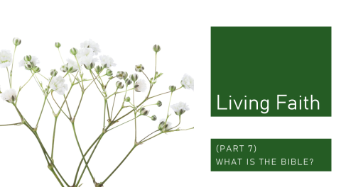 Living Faith Title Part 7