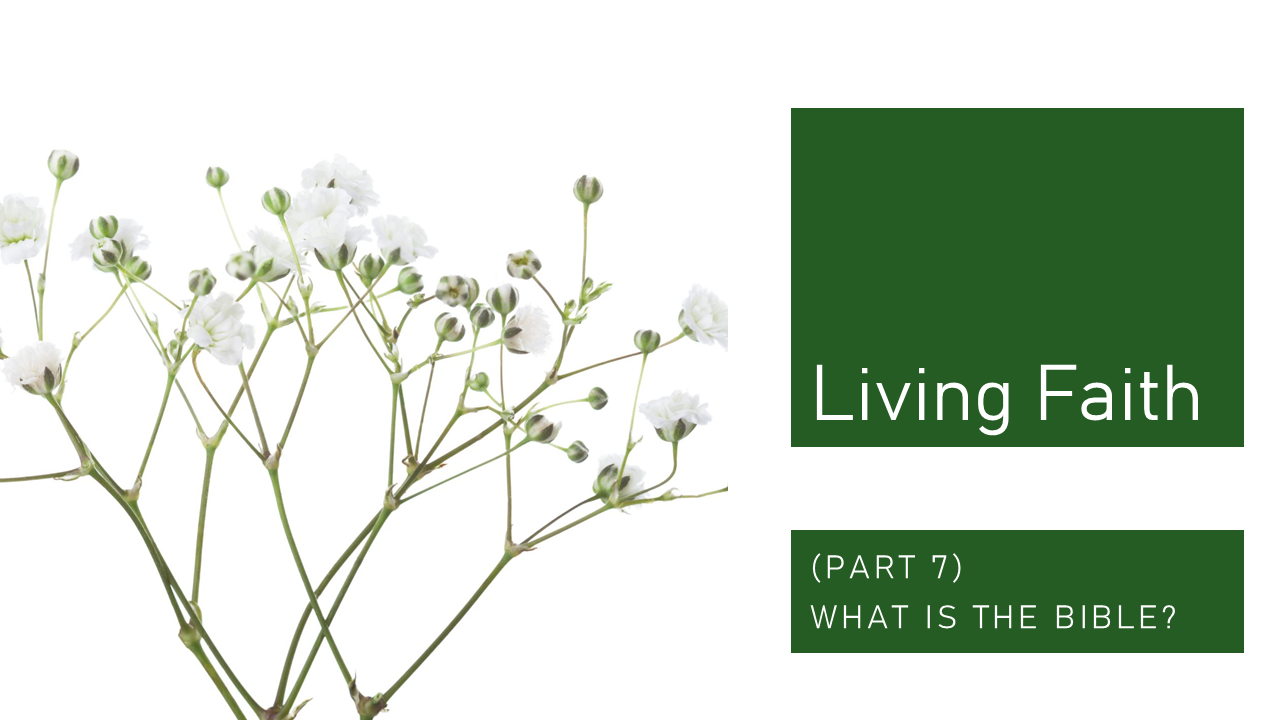 Living Faith Title Part 7